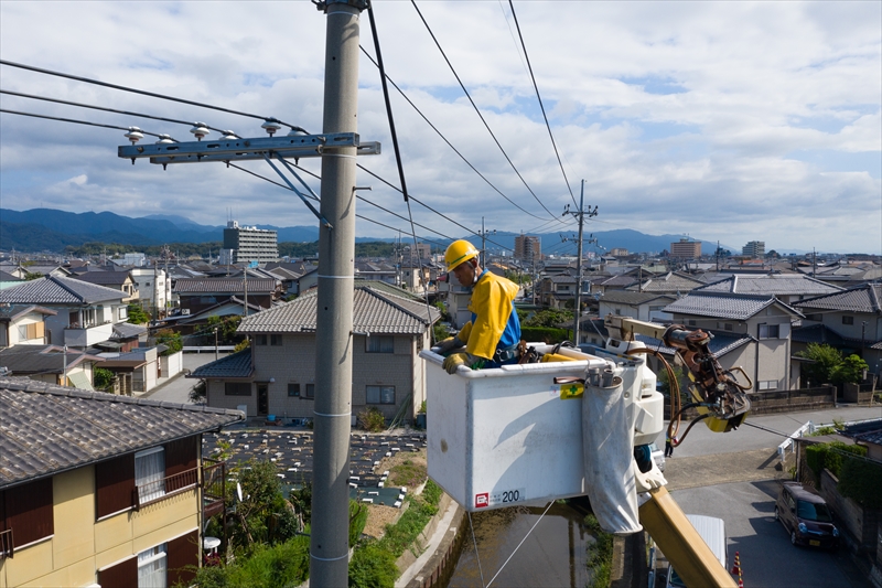 事業内容